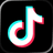 TikTok平台图标